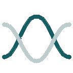 Macro-Finance Bern